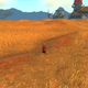 Damn The Barrens is big.